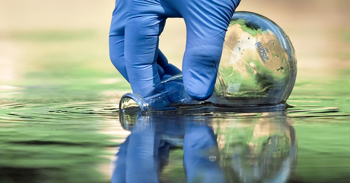 Alert The Baby Turtles, Green Ooze’s Leaking From The Earth