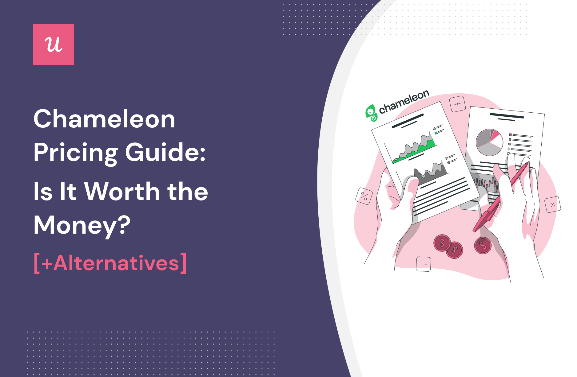 Chameleon Pricing Guide: Is It Worth the Money? (+Alternatives)