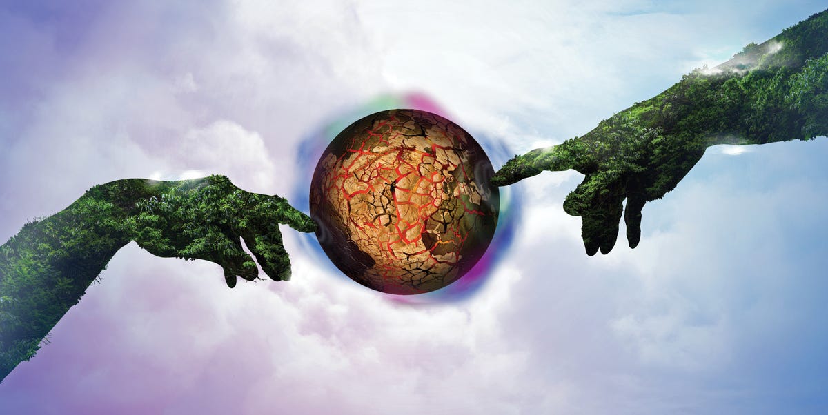 One Single Ancestor Gave Rise to All Life on Earth. Even You.