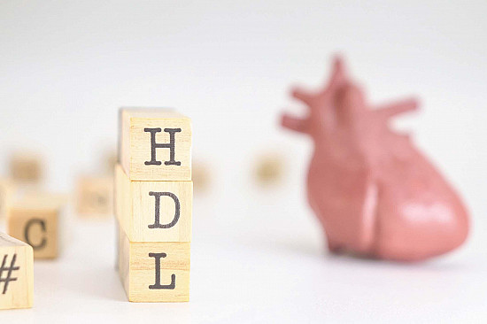 The complex story of HDL cholesterol – Harvard Health
