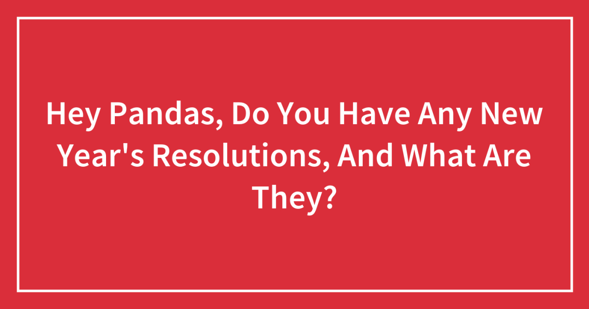 Hey Pandas, Do You Have Any New Year’s Resolutions, And What Are They?