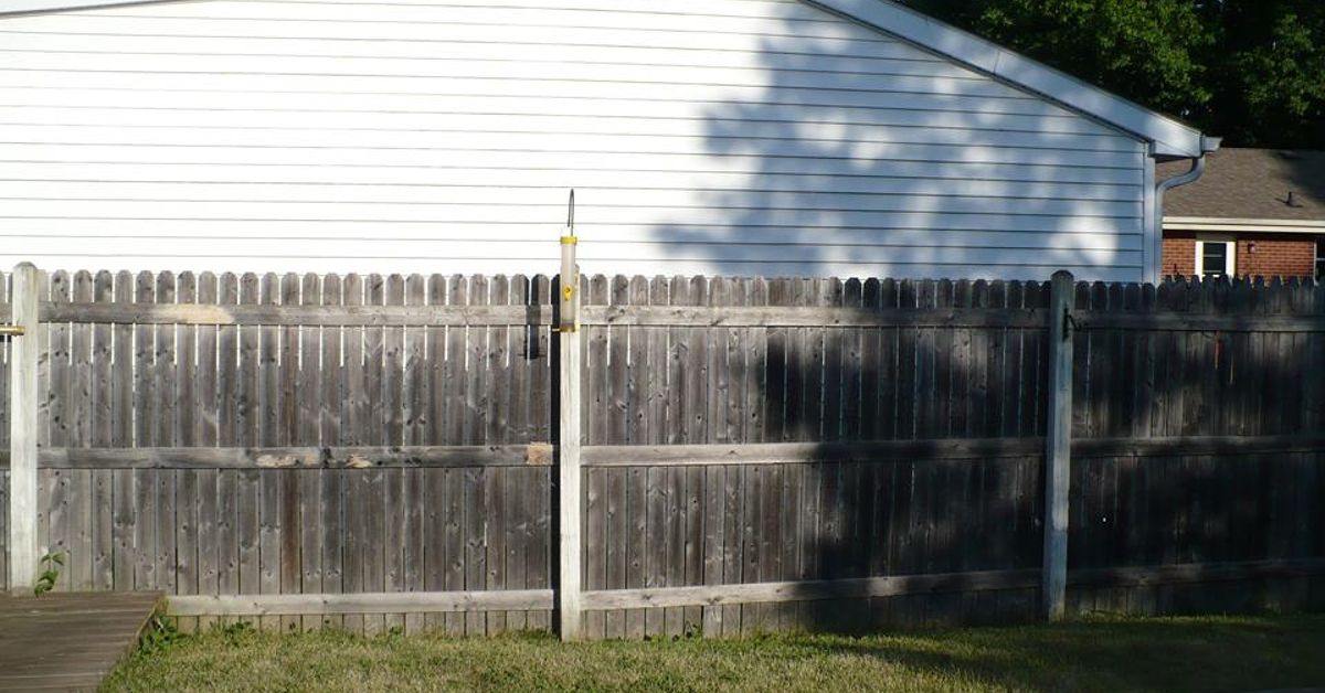 Backyard Fence Art