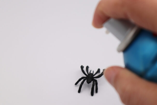 The Best Spider Killers for Your Home – Top Picks from Bob Vila