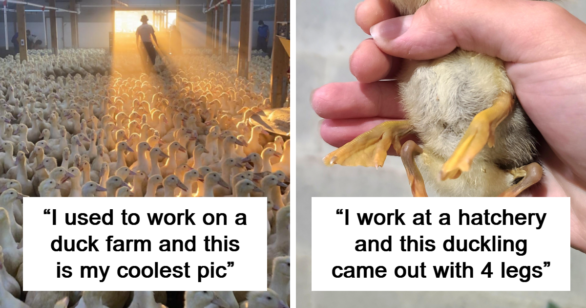 “Worked As A Photographer For NASA”: 74 Cool, Curious, And Unexpected Pics People Took At Their Jobs