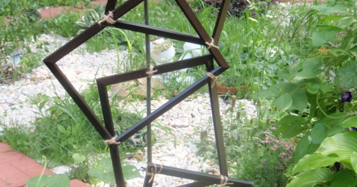 Morning Glory Madness: Trellises